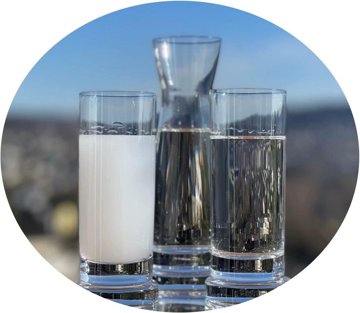 Topkapi elite "Mustafa-Bey" Raki-Set 3 tlg.