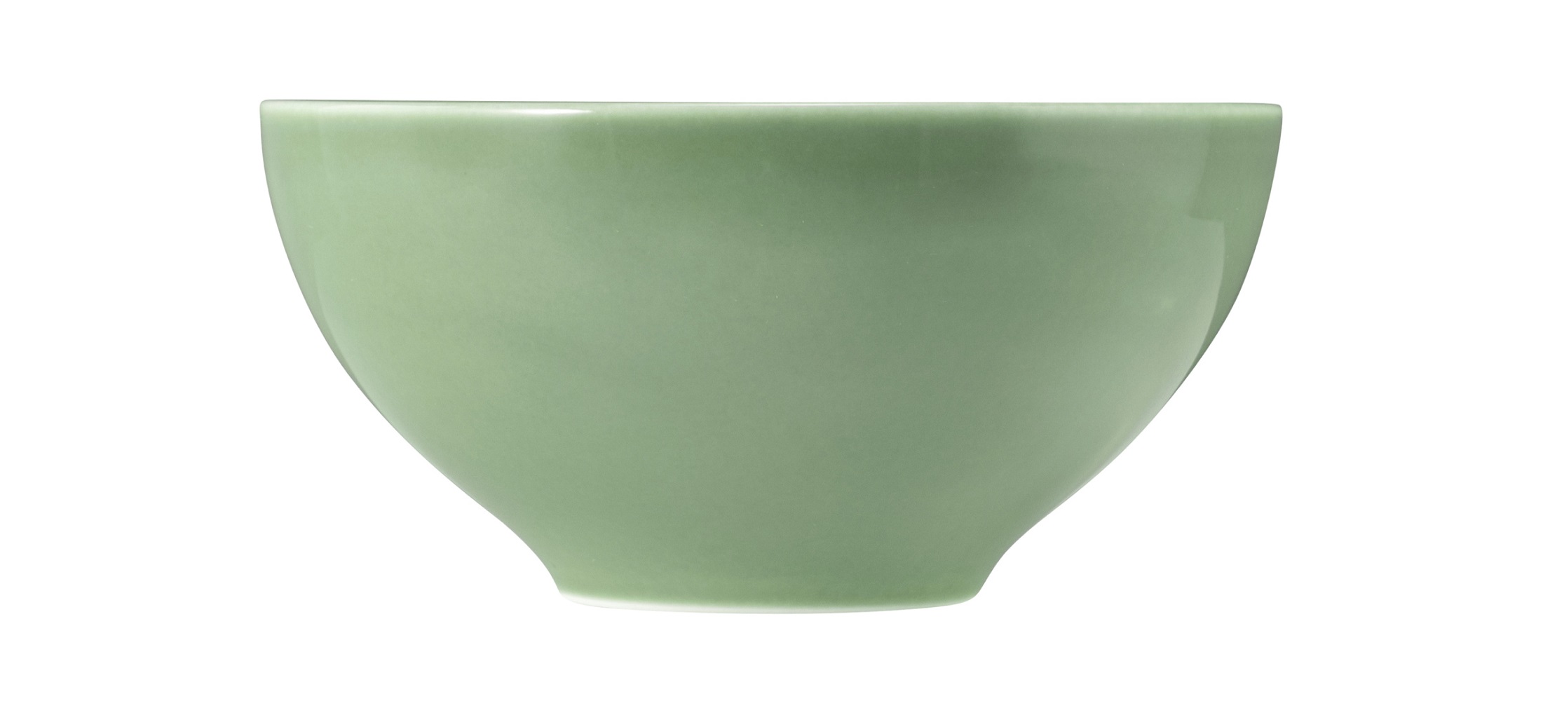 Seltmann Weiden Beat Salbeigrün Schüssel 15,5cm