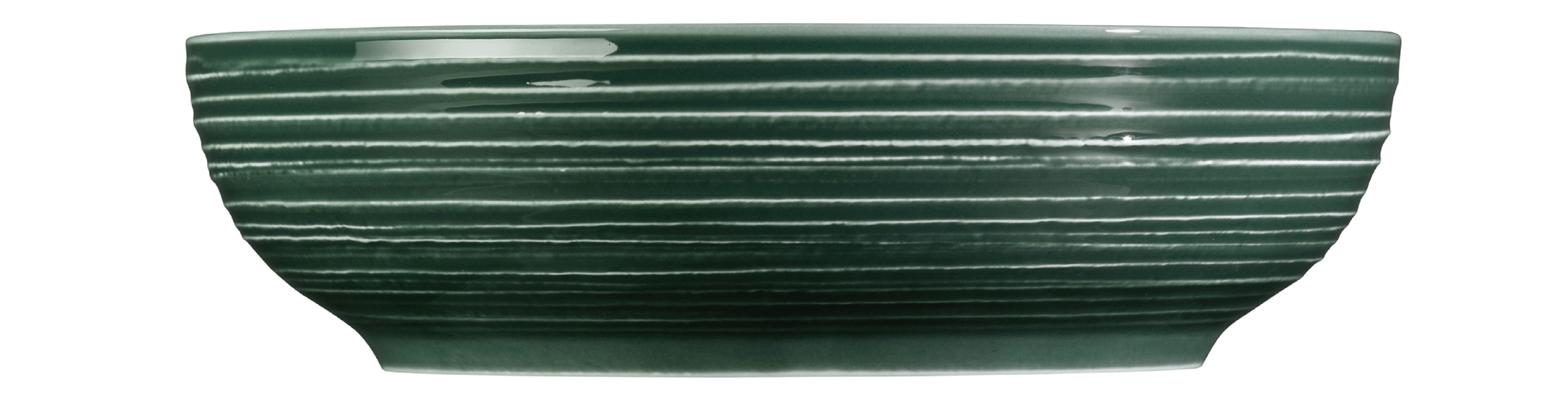 Seltmann Weiden Terra Moosgrün Foodbowls 25 cm