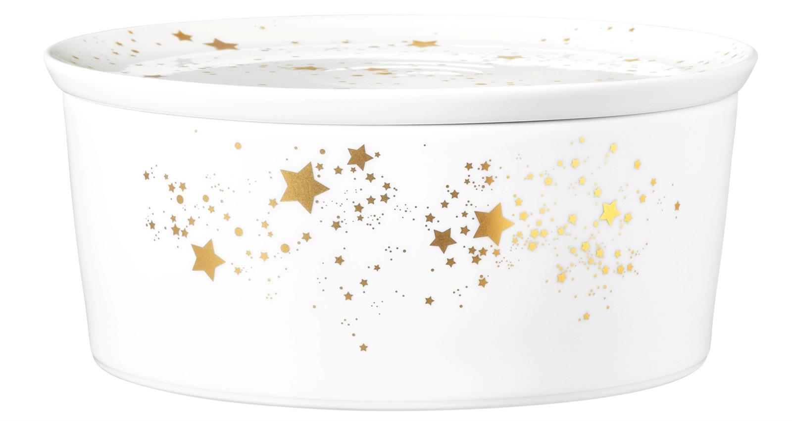 Seltmann Weiden Liberty Golden Star Schale mit Deckel 21x9cm